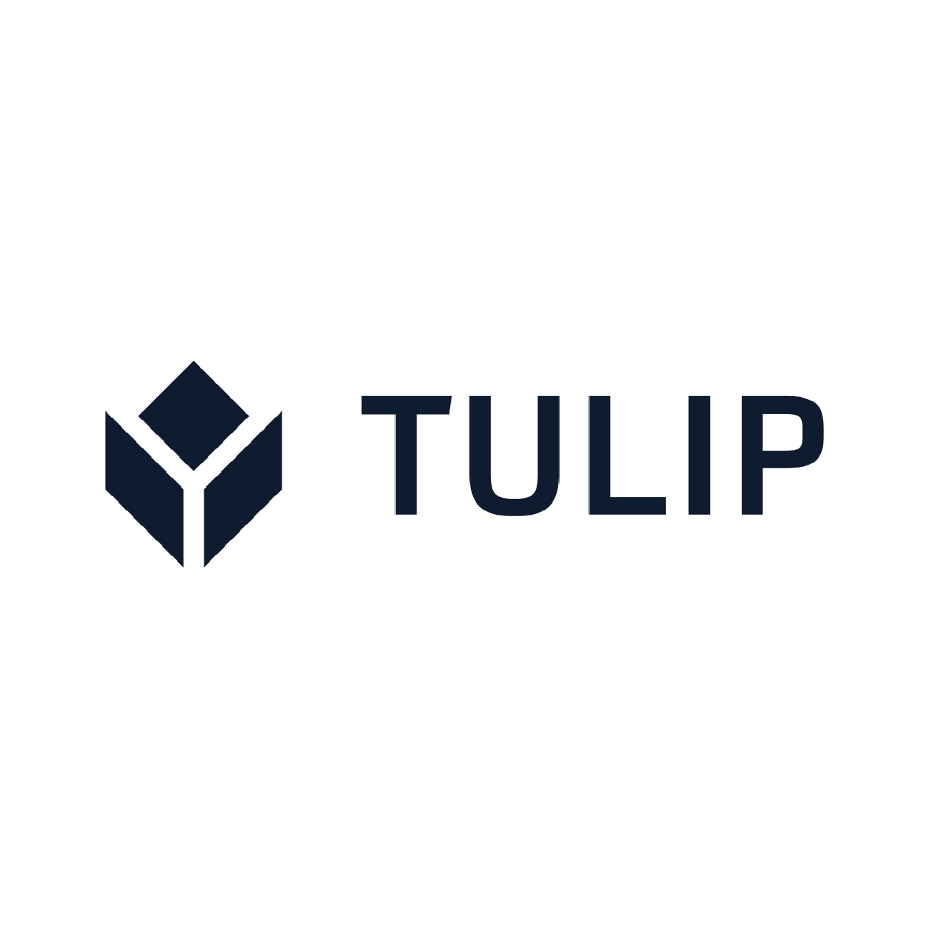 tulip-01-1